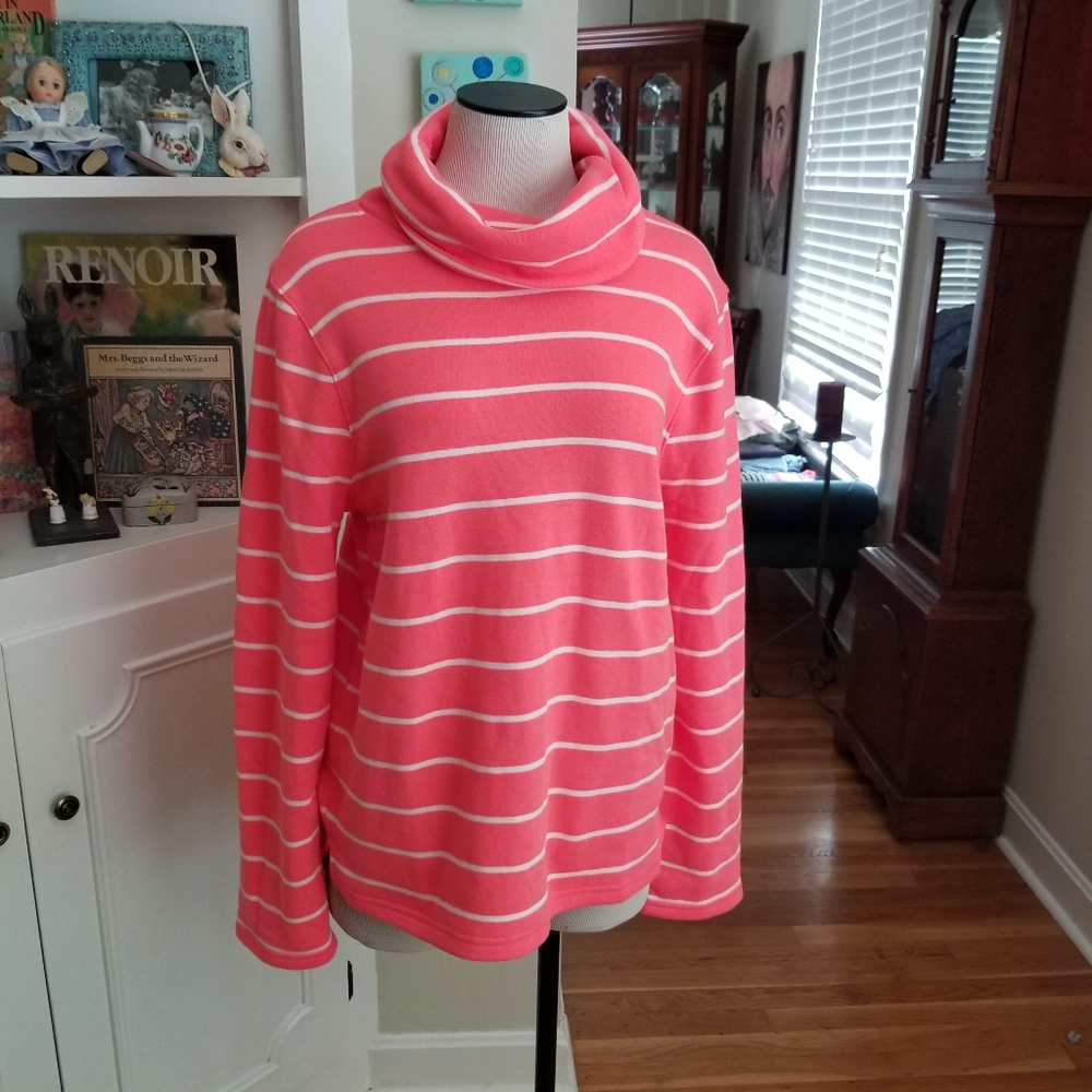 J. Crew Turtleneck Sweatshirt